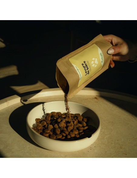 Levure de bière Nutragile pour chien