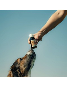 Das Tonic Nutragile für Hund und Katze 2