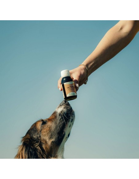 Das Tonic Nutragile für Hund und Katze