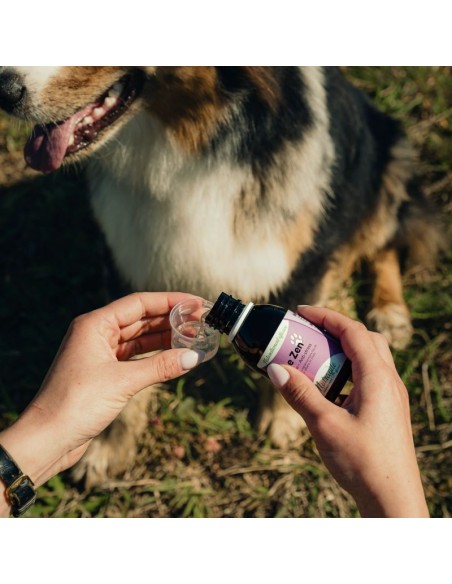 Le Zen Nutragile pour chien et chat