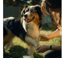Tónico Nutragile para perros y gatos