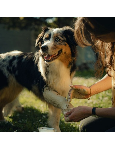 Tónico Nutragile para perros y gatos