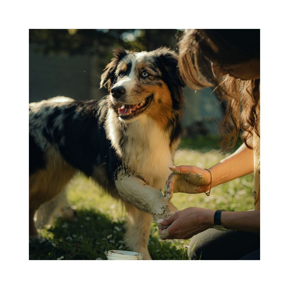 Das Tonic Nutragile für Hund und Katze