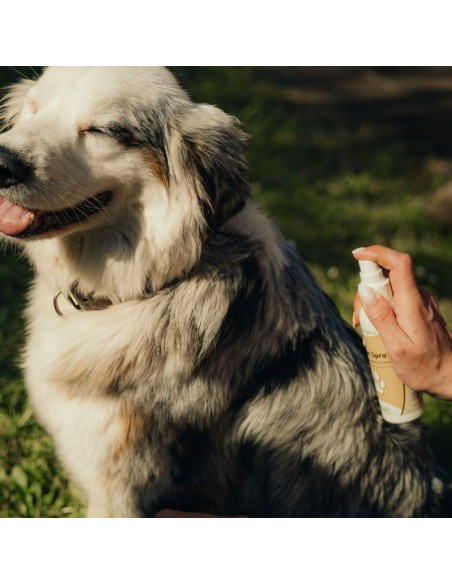 Cicanat Spray gamme chien et chat