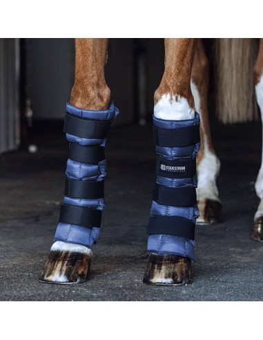 Paire de Guêtres refroidissantes membre cheval