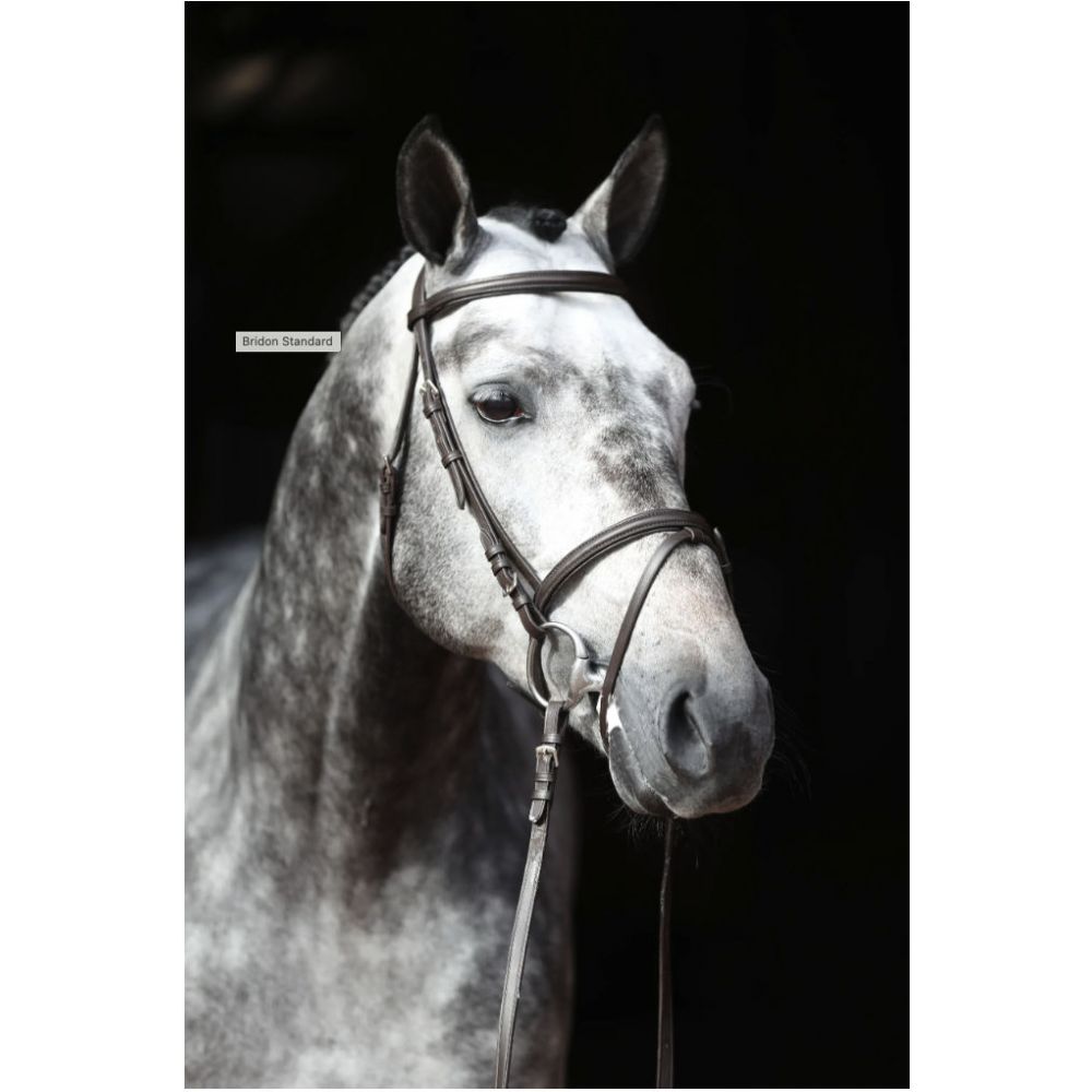 bridon-club-qualite-standard