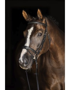 bridon-club-qualite-standard 2