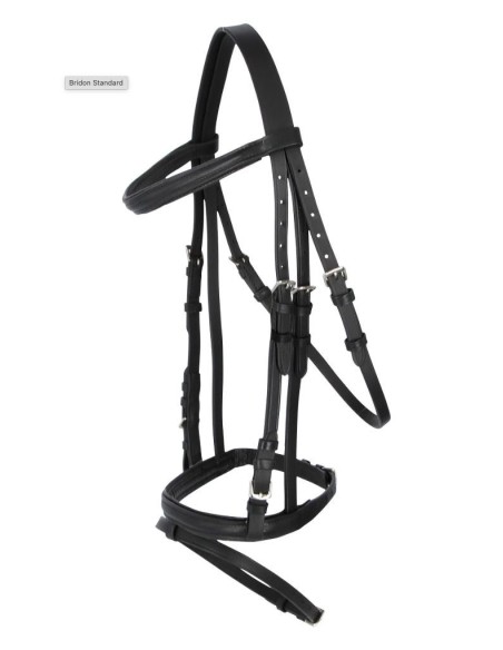 Bridon club qualité Standard   by John Doe