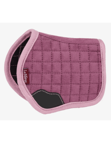 Teppich für Toy Pony LeMieux