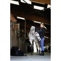 Chaussettes Je t'aime EQUITHÈME - EK-Kamilia