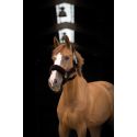 Halfter EQUITHÈME Teddy