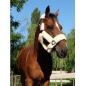Licol EQUITHÈME Teddy
