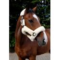 Halter EQUITHÈME Teddy