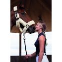 Halfter EQUITHÈME Teddy