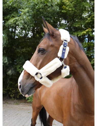 Halter EQUITHÈME Teddy