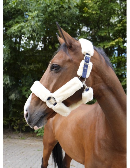 Licol EQUITHÈME Teddy