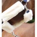 Halter EQUITHÈME Teddy