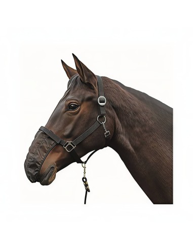BONNET NASEAUX KIT DE 3
