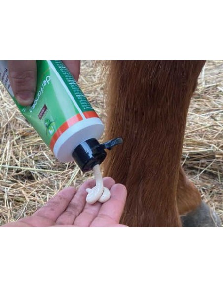 ANIMADERM Lotion - DERFONGEN™