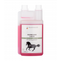 Magnesio líquido - Para un mejor equilibrio, 1 l