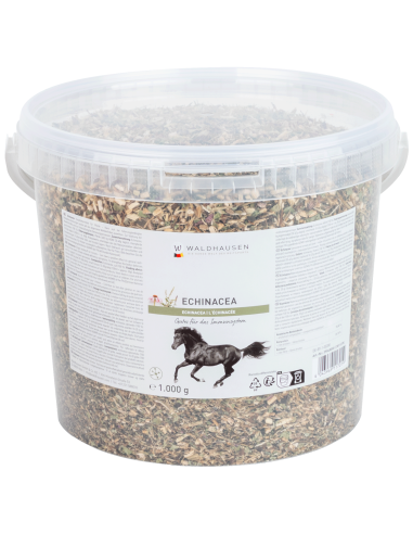 Échinacée - Bienfaits pour le système immunitaire, 1 kg