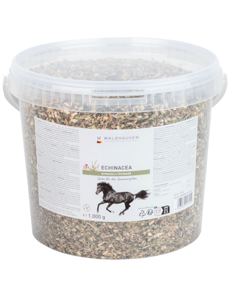 Échinacée - Bienfaits pour le système immunitaire, 1 kg
