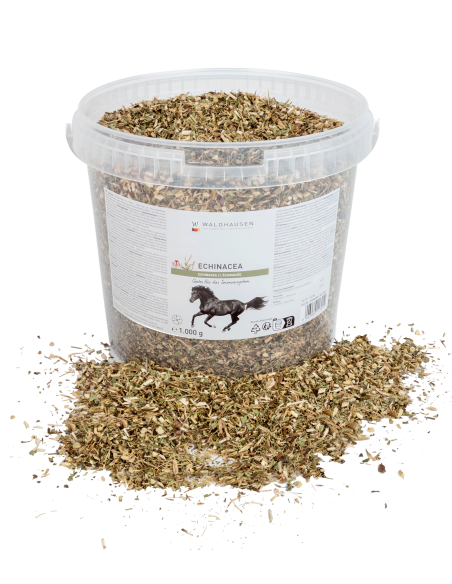 Échinacée - Bienfaits pour le système immunitaire, 1 kg