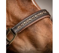 Licol en cuir Crystal  Waldhausen X-Line