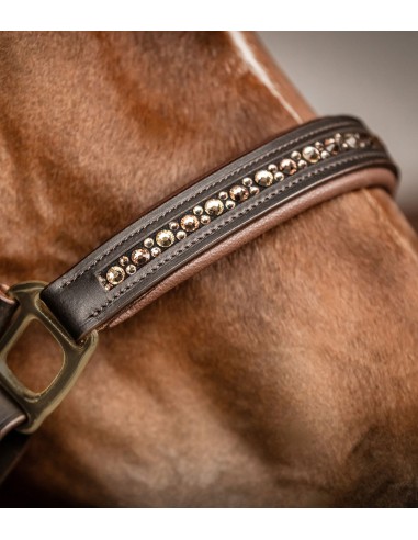 Licol en cuir Crystal  Waldhausen X-Line