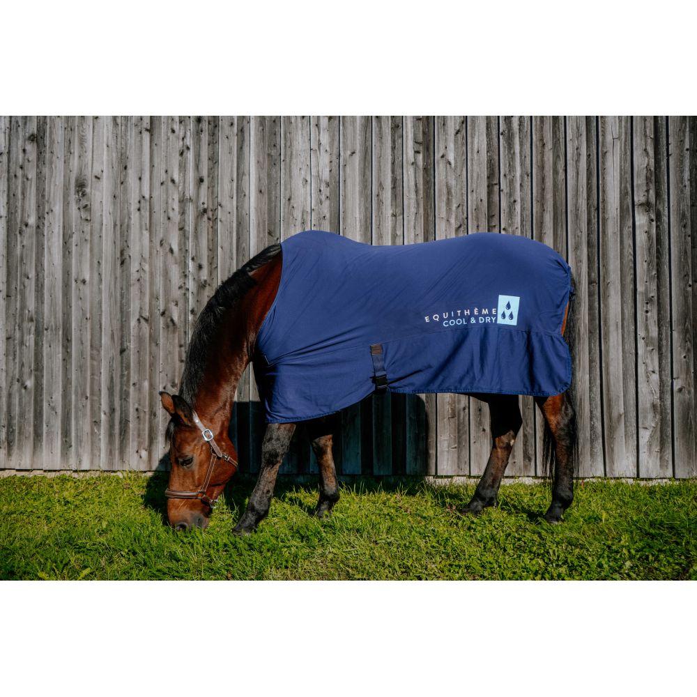 Chemise Cool+dry EQUITHÈME - Fresh