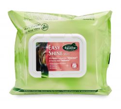 Easy Shine Wipe RAVENE - Toallitas limpiadoras