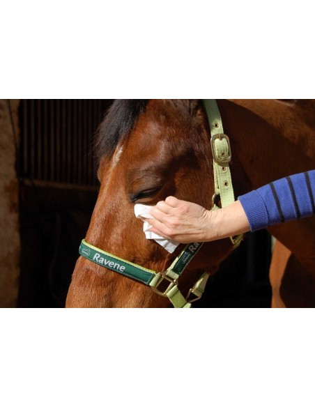 Lingettes nettoyantes yeux et naseaux - Easy Shine Wipe RAVENE