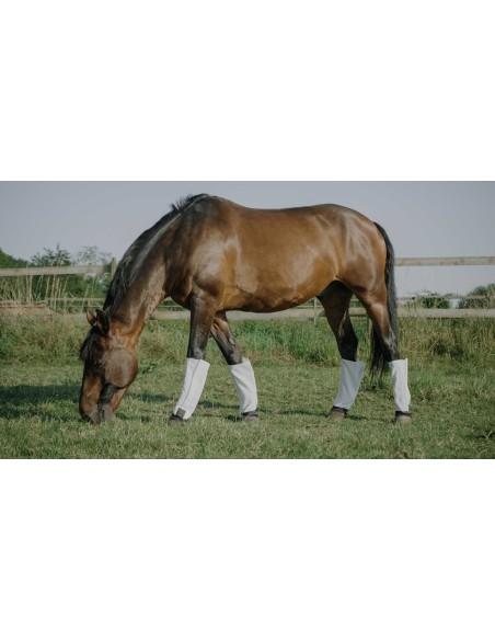 EQUITHÈME polainas de protección contra la mosca - Anti-UV