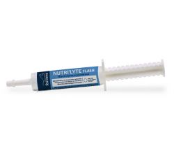 Nutri'Lyte Flash électrolytes 30ml RAVENE