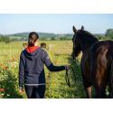 Sweet FEI Oxer unisex
