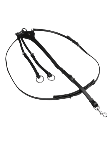 Waldhausen -Martingal „X-Line Professional“