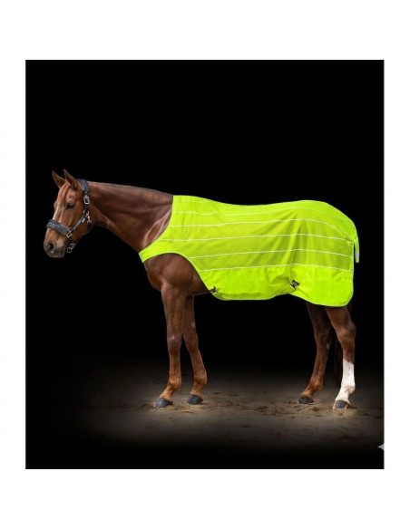 Chemise anti-mouches pour marcheur