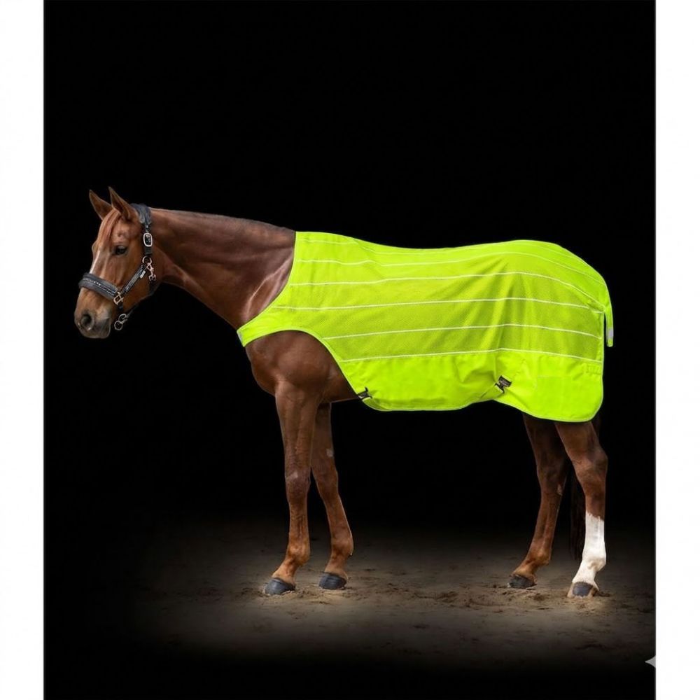 Chemise anti-mouches pour marcheur