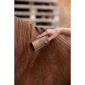Brosse mue et pansage cheval