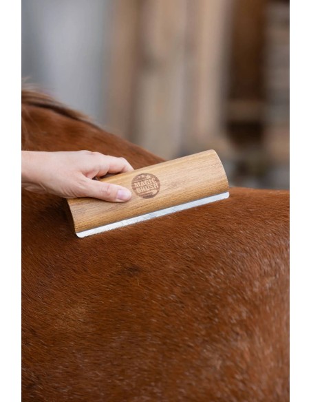 Brosse mue et pansage cheval