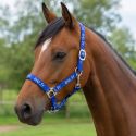 Licol cheval nylon attache rapide Les indispensables EE