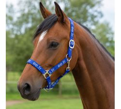 Licol cheval nylon attache rapide Les indispensables EE