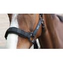 2-in-1-Weidehalfter LAMI-CELL 