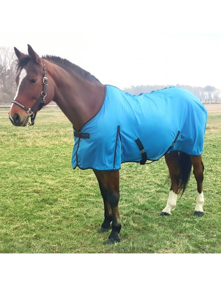 Chemise filet Equithème Eclat