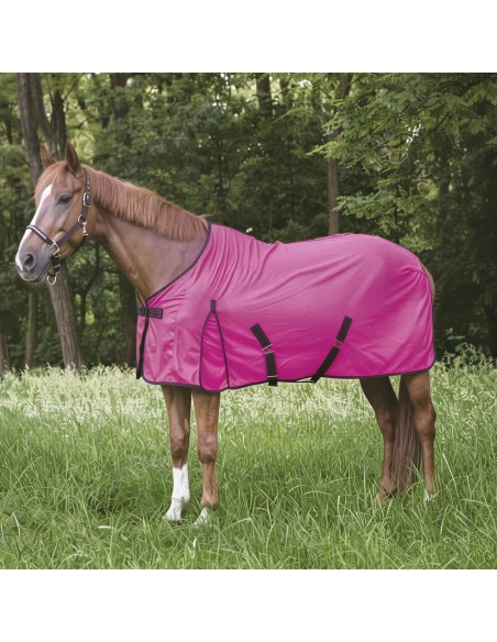 Chemise filet Equithème Eclat