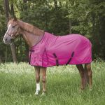 Chemise filet Equithème Eclat
