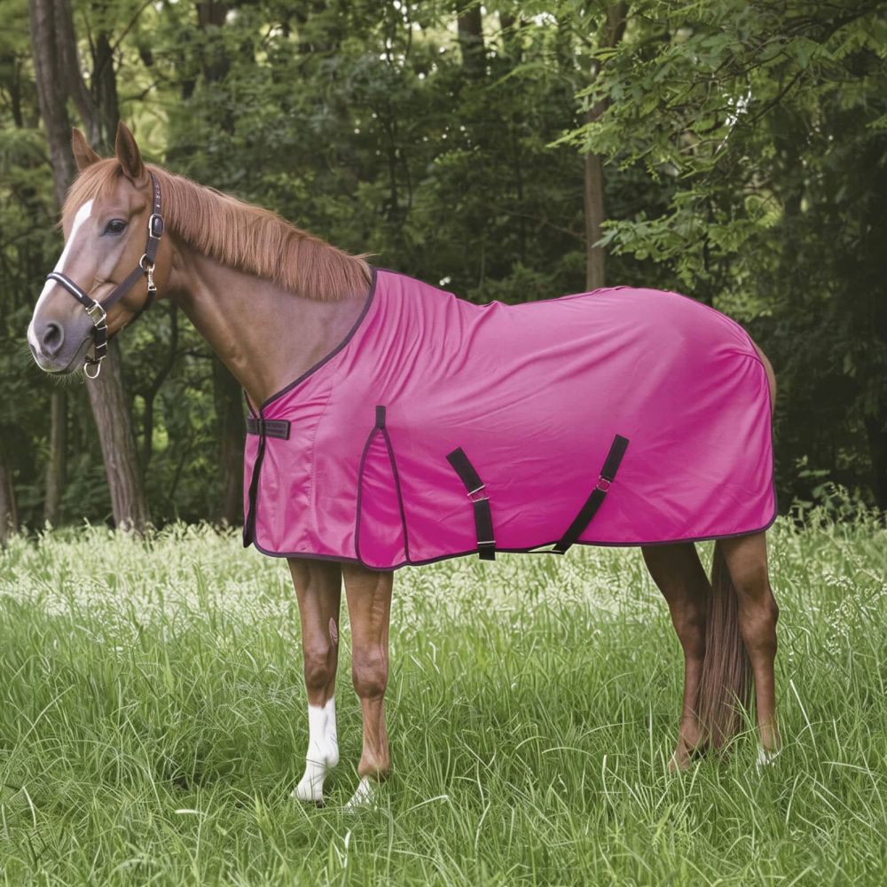 Chemise filet Equithème Eclat