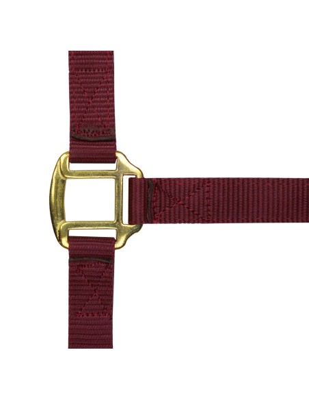 Licol nylon NORTON doublé cuir