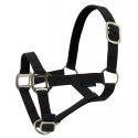 Licol nylon NORTON doublé cuir