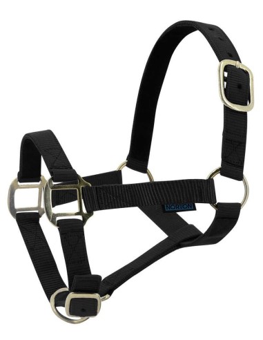 NORTON-Nylonhalfter mit Lederbesatz